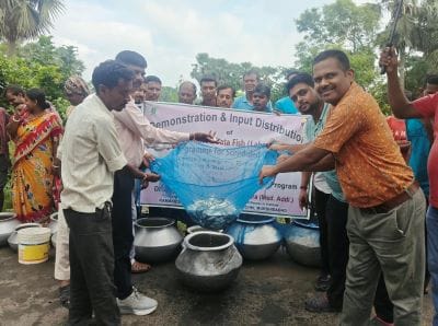 ICAR-Indian Council of Agricultural Research