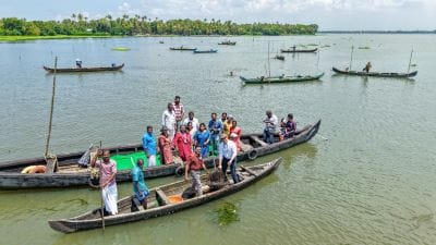 ICAR-CMFRI’s Stock Enhancement Initiative Boosts Black Clam Production in Vembanad Lake
