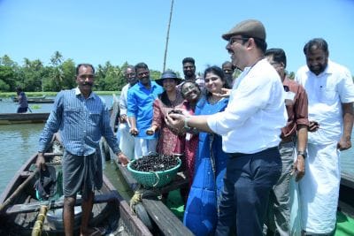ICAR-CMFRI’s Stock Enhancement Initiative Boosts Black Clam Production in Vembanad Lake