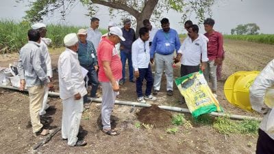 ICAR-Indian Council of Agricultural Research