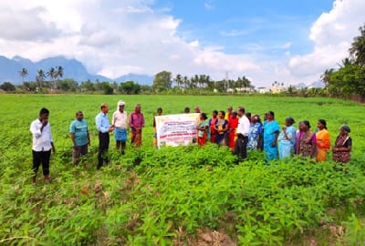 ICAR-Indian Council of Agricultural Research