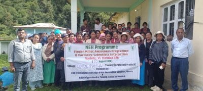 Less Time, Higher Yield: VL Mandua 376 Emerges as a Promising Finger Millet Variety for Tawang Farmers