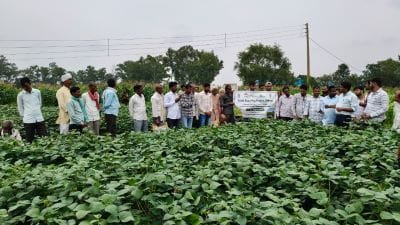 Carbon Pathshala Organised for Vidisha Farmers