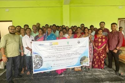 ICAR-CIFRI, IWMI and LRRM Empower Sundarban Fishers through Sustainable SIS–Carp Polyculture to Boost Livelihoods and Nutritional Security