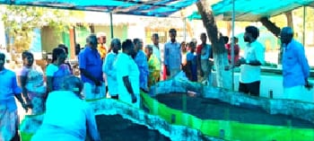 ICAR-Indian Council of Agricultural Research