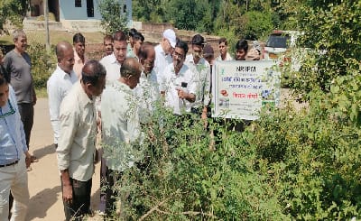 ICAR-Indian Council of Agricultural Research