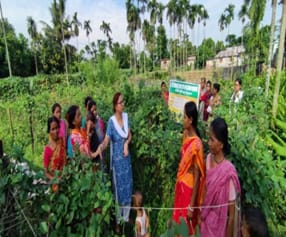 ICAR-Indian Council of Agricultural Research