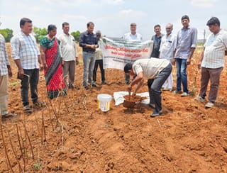 ICAR-Indian Council of Agricultural Research