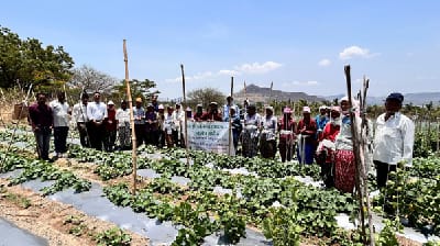 ICAR-Indian Council of Agricultural Research