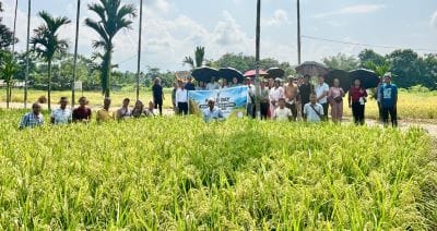 ICAR-Indian Council of Agricultural Research