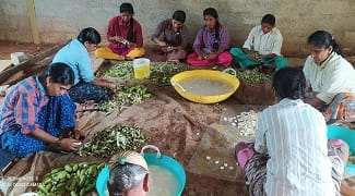 ICAR-Indian Council of Agricultural Research