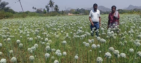 ICAR-Indian Council of Agricultural Research