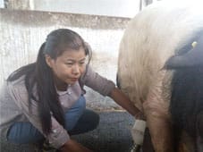 piglets-ss-02-2018