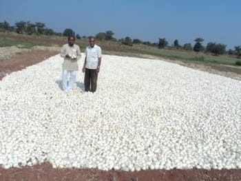 ICAR-Indian Council of Agricultural Research