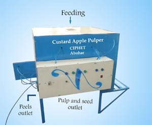 custard-apple-extractor-2-s