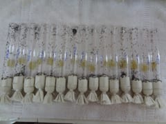 BIOCONTROL-04-20042017