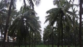 BIOCONTROL-07-20042017
