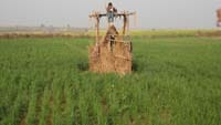 solar lift irrigation system