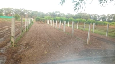 Development of a Multilayer Horticulture Production System