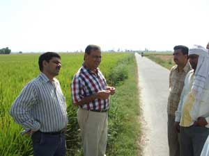 ICAR-Indian Council of Agricultural Research