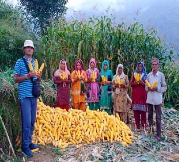 ICAR-Indian Council of Agricultural Research