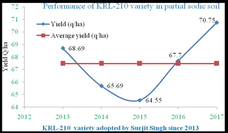 yield-graph-KRL210_0.png