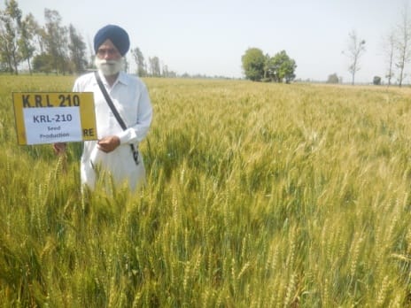 ICAR-Indian Council of Agricultural Research