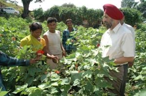 ICAR-Indian Council of Agricultural Research