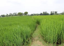ss-cssirkarnal-03