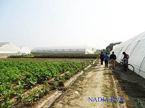 ICAR-Indian Council of Agricultural Research