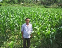 ICAR-Indian Council of Agricultural Research