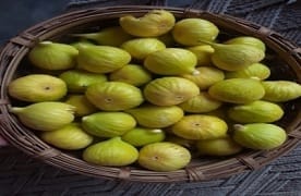 Fig Cultivation: Pursuit of Profit in Thar Region of Rajasthan