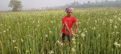 ICAR-Indian Council of Agricultural Research