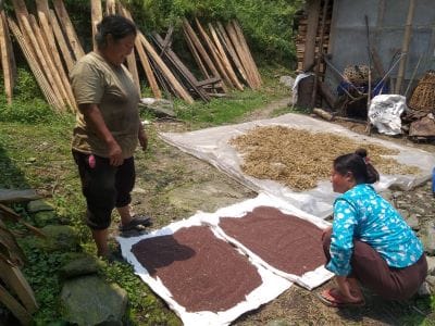 From Dependence to Self-Reliance: Organic Rapeseed–Mustard Cultivation Transforms Livelihoods of the Lepchas in North Sikkim