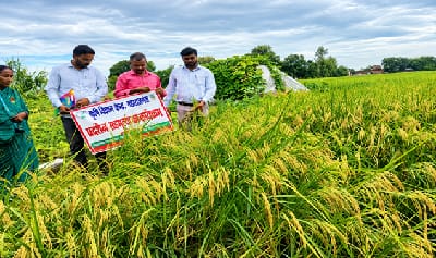 From Farm to Enterprise: How an Integrated Livelihood Model Empowered a Woman Farmer