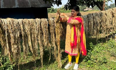 ICAR-Indian Council of Agricultural Research