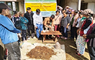 ICAR-Indian Council of Agricultural Research