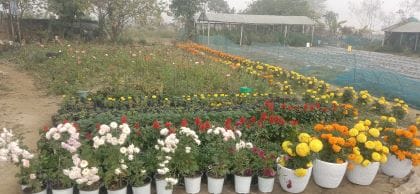 From ‘Potharkonya’ to Pathbreaker: Ms. Nabanita Das Emerges as a Model Woman Agripreneur in Assam