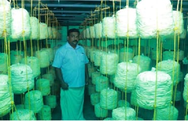 From Spores to Sustained Prosperity: Transforming Rural Livelihoods through Mushroom Cultivation in Thiruvananthapuram
