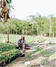 ICAR-Indian Council of Agricultural Research