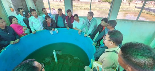 From Traditional Ponds to Thriving Enterprises: Catalysing a Blue Revolution in the Hills of Manipur