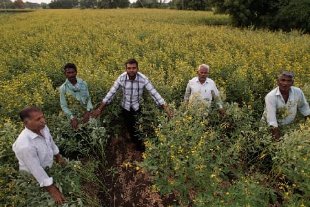 ICAR-Indian Council of Agricultural Research