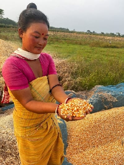 ICAR-Indian Council of Agricultural Research