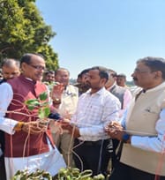 Grafted Vegetable Production: A Success Story of Entrepreneurship Development