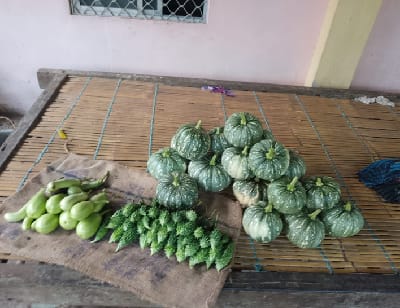 From Coconut-Centric Farming to Integrated Agriculture: A Car Nicobar Success Story