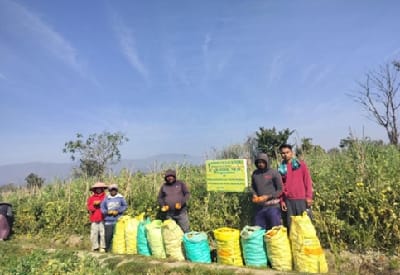 ICAR-Indian Council of Agricultural Research