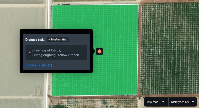 disease risk feature in EOSDA Crop Monitoring