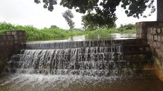 cafri-01-30042019