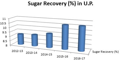 sugarss-05