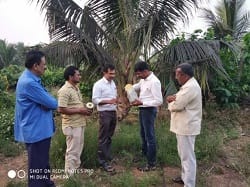 ICAR-Indian Council of Agricultural Research